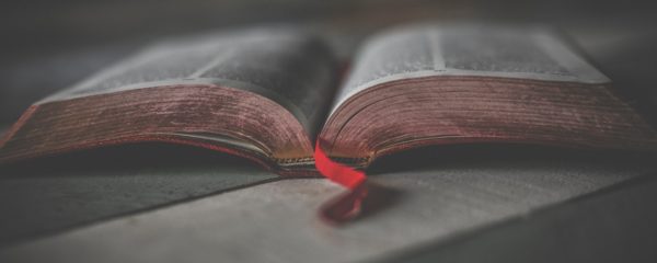 The Bible and The Oil